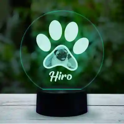 Lampa led 3D personalizata cu animalutul tau de companie