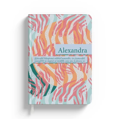 Agenda personalizata-Fire ball