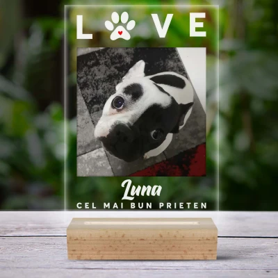 Lampa led personalizata cu poza catelului tau