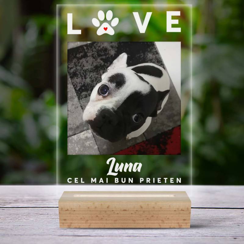 Lampa led personalizata cu poza catelului tau