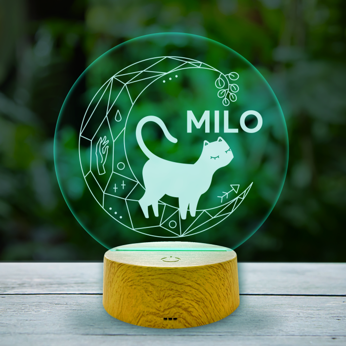 Lampa led personalizata cu pisica