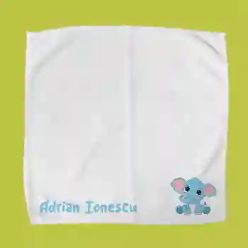 Prosoape pentru Lunch Box