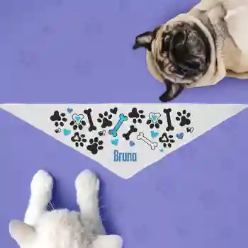 PetGift