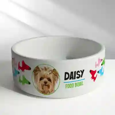 Bol din ceramica personalizat - Food bowl