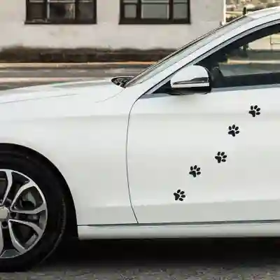 Sticker auto - Cat paws