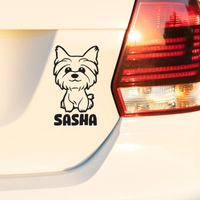 Stickere auto - Catei