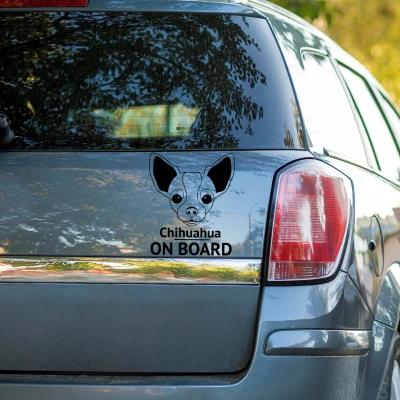 Sticker auto - Catel Chihuahua