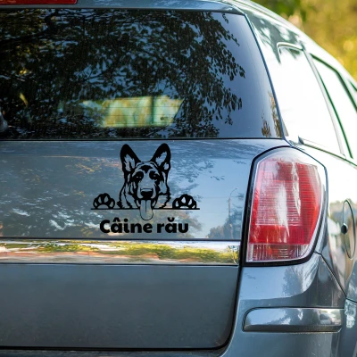Sticker auto - Caine Rau