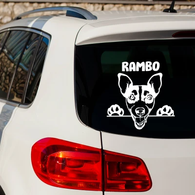 Sticker auto - Catel 