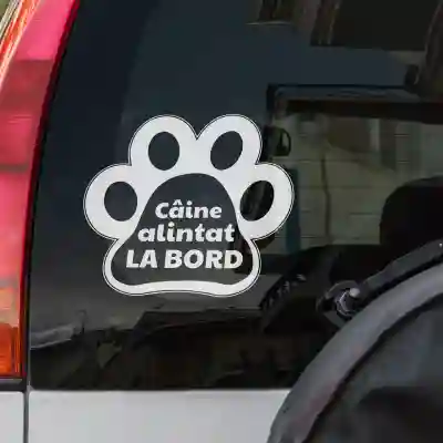 Sticker Caine alintat la bord