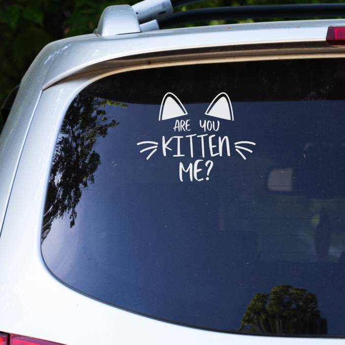 Sticker auto Kitty