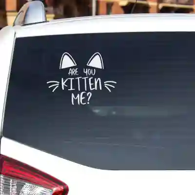 Sticker auto Kitty