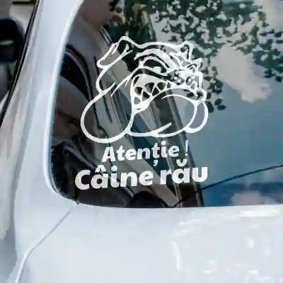 Sticker auto funny catei